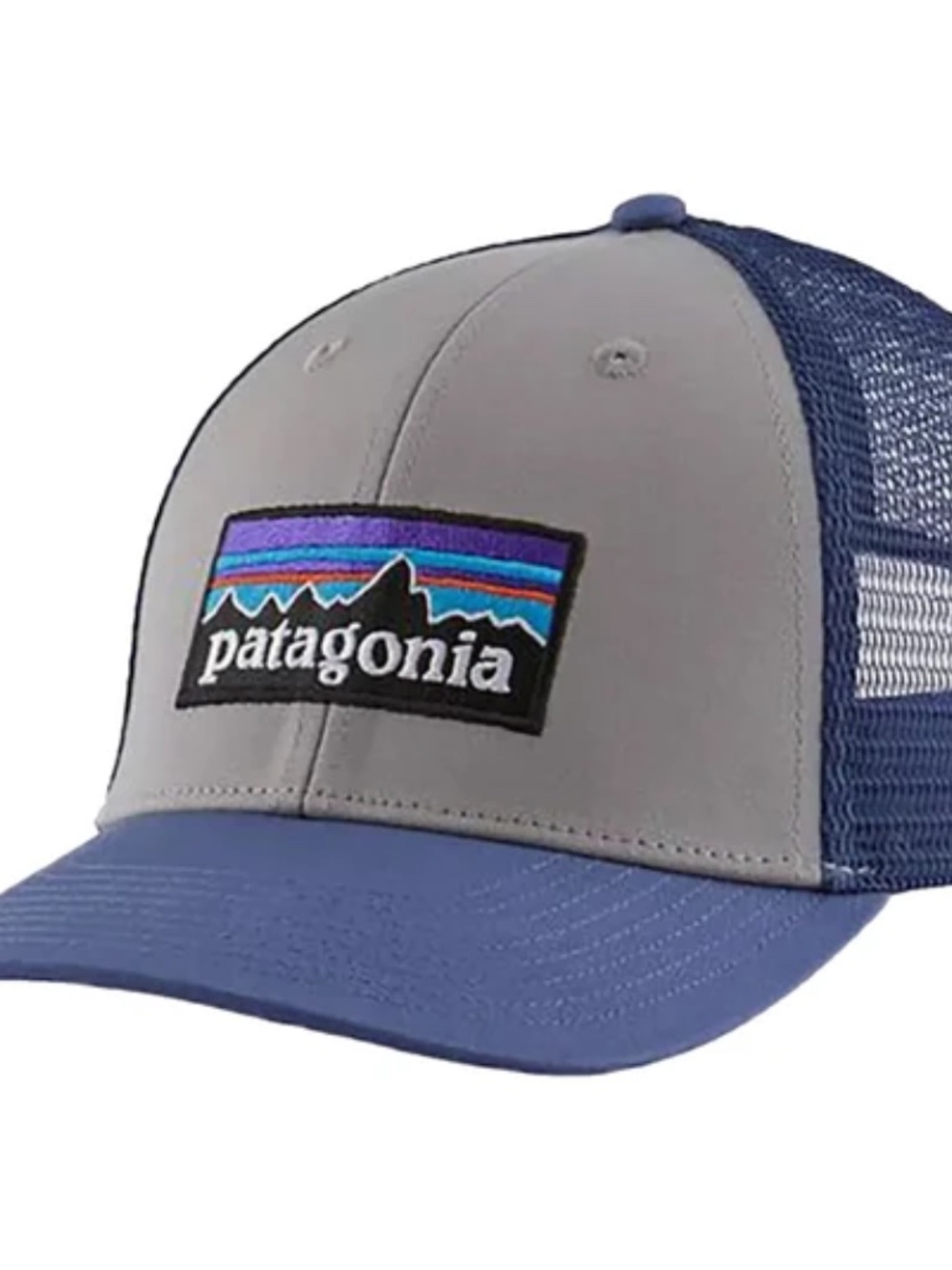 Patagonia P-6 Logo Trucker Hat